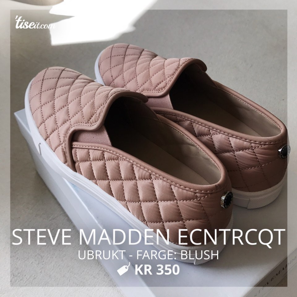 steve madden ecntrcqt