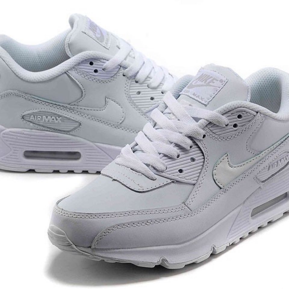Nike Air Max Leather • Tise