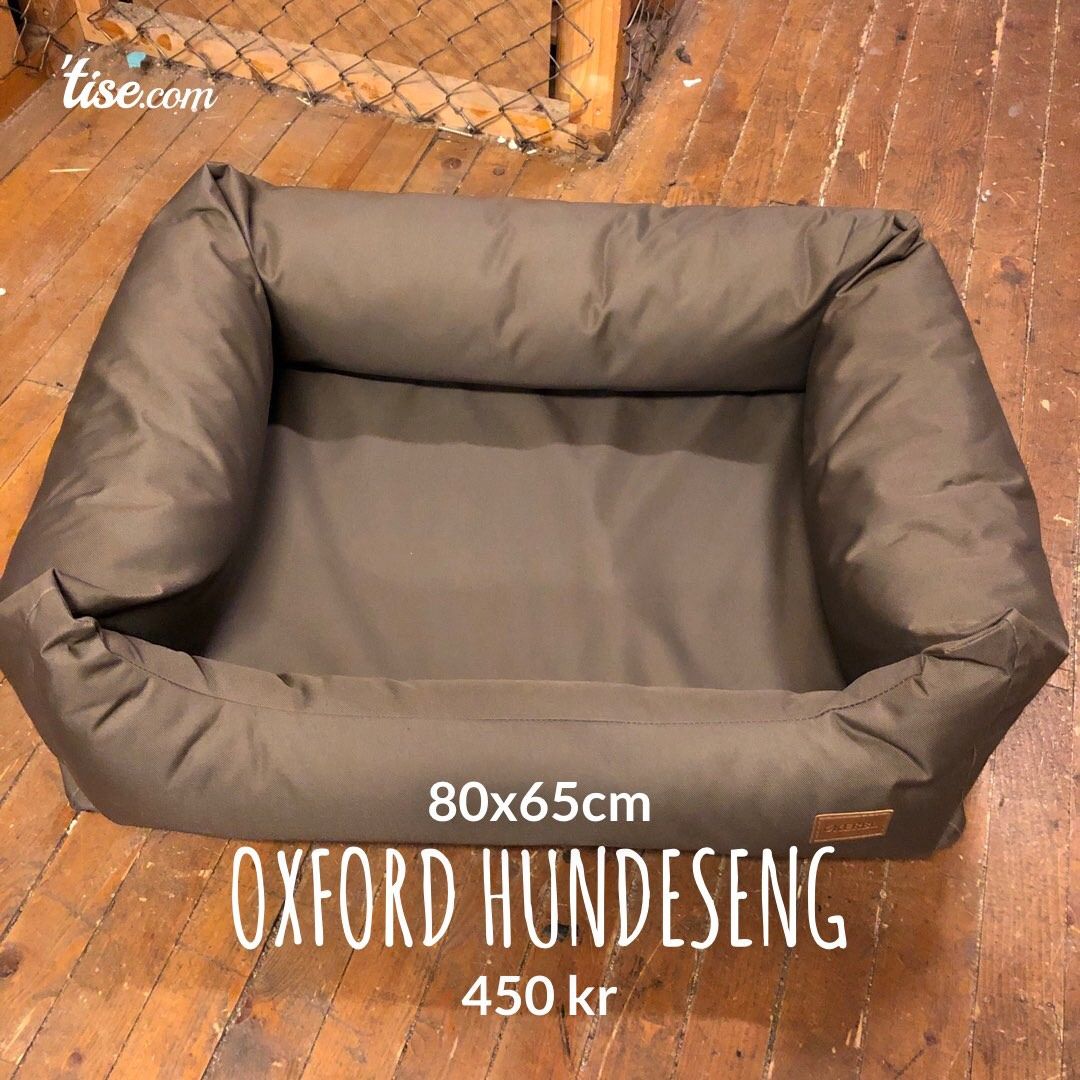 Oxford hundeseng Tise