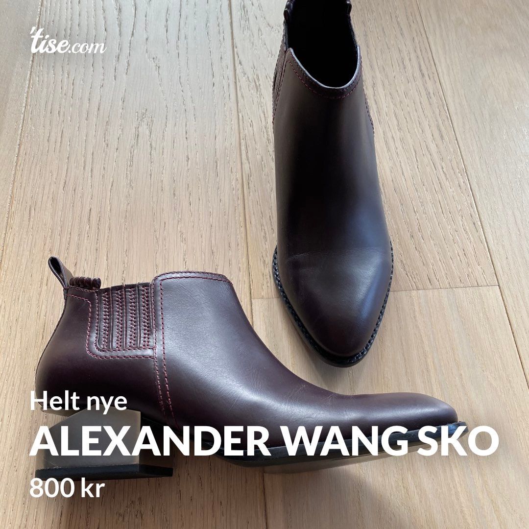 Alexander wang 2024 kori oxford