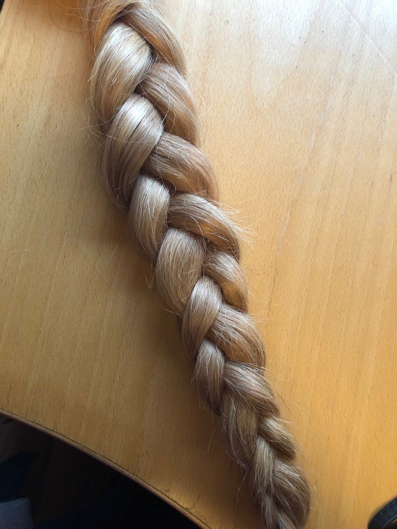 stickhair-tise