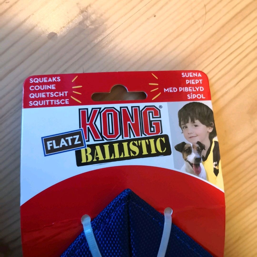 Kong 2024 ballistic flatz