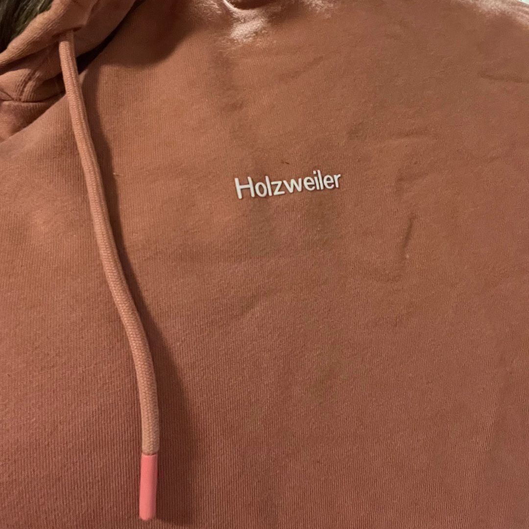 Holzweiler hoodie online terracotta