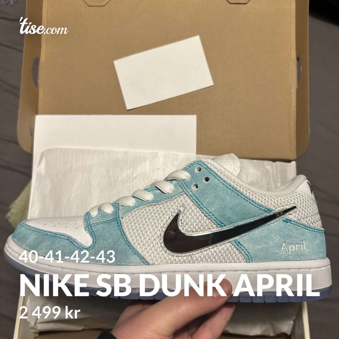 Nike best sale sb 42