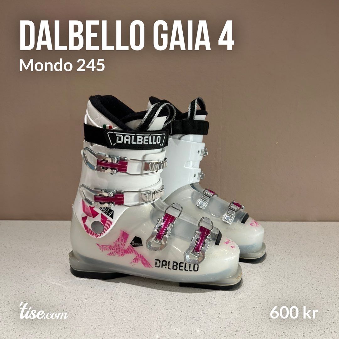 Dalbello on sale gaia 4