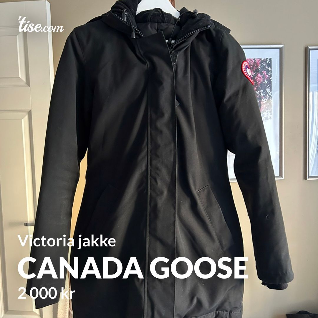 Canada goose cheap victoria grå