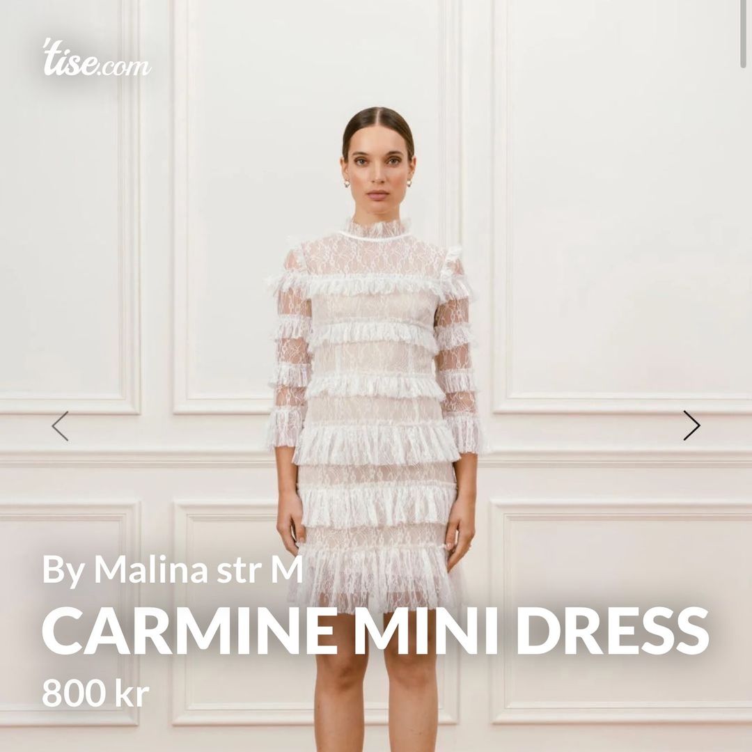 CARMINE MINI DRESS Tise