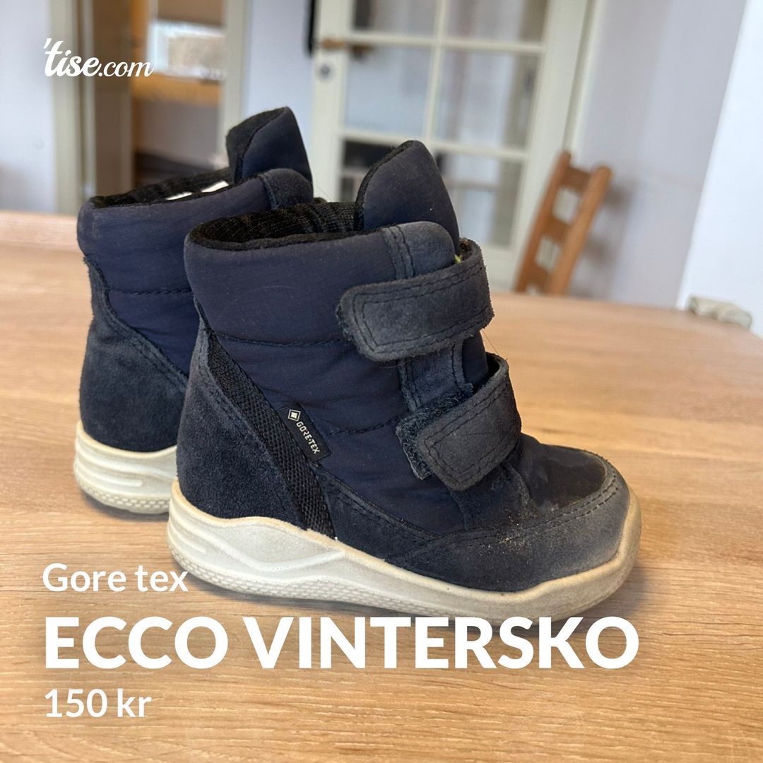 Ecco vintersko clearance