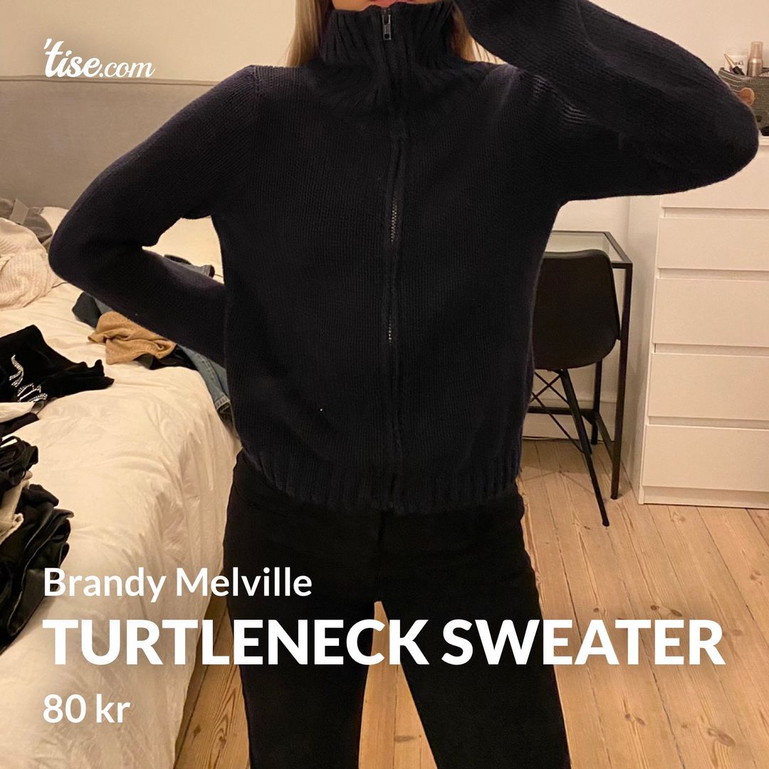 Brandy melville cheap turtleneck sweater