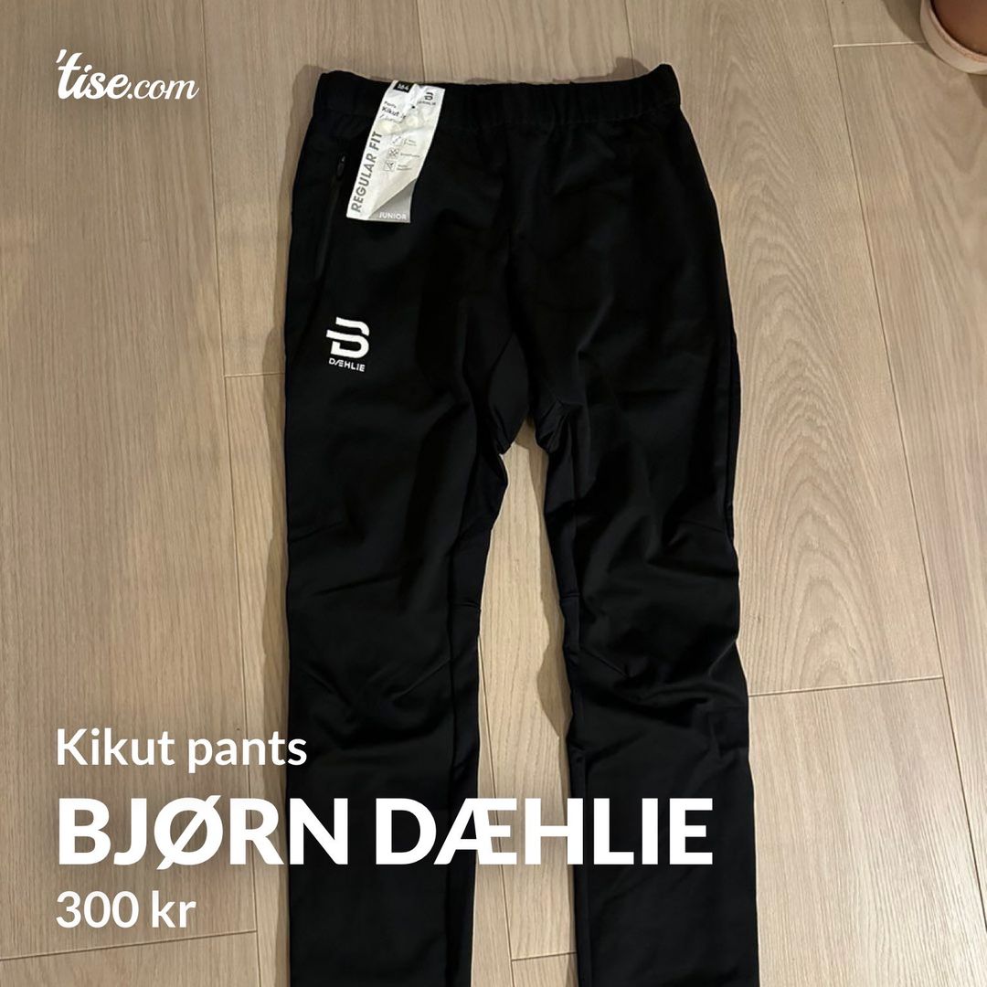 Bjorn daehlie champion pant on sale