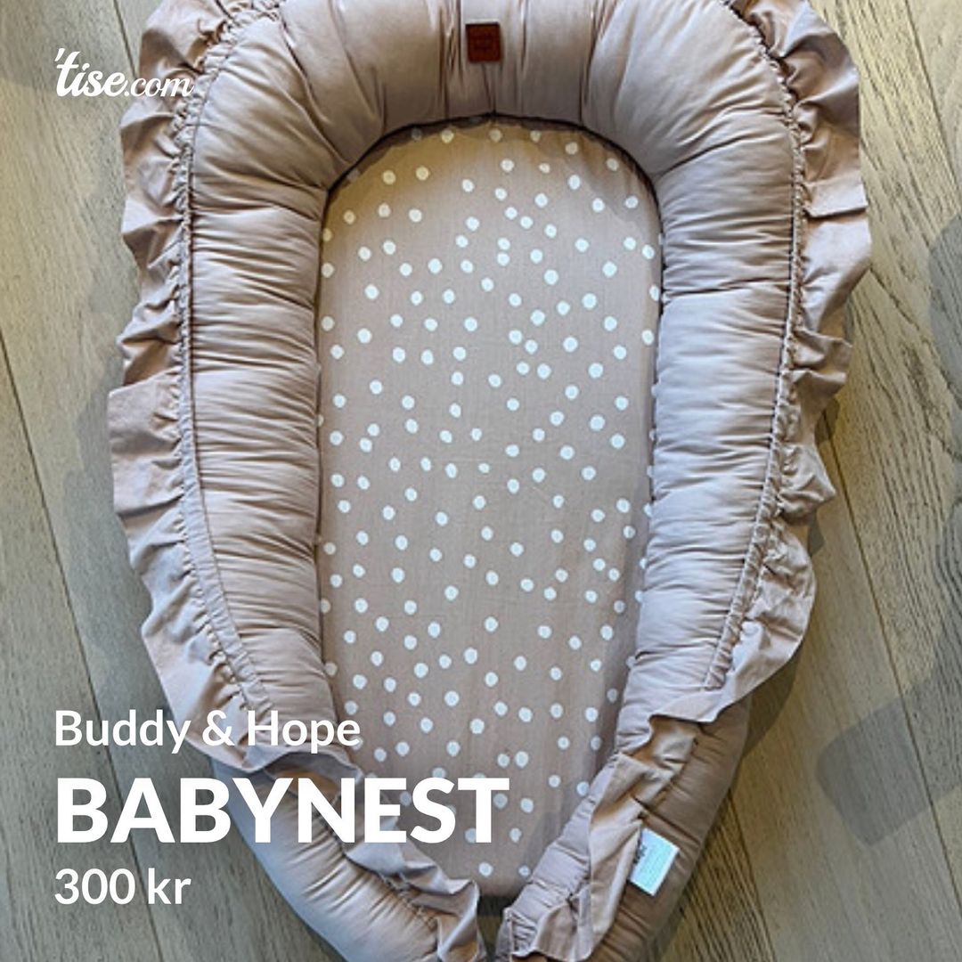 Babynest buddy hot sale and hope