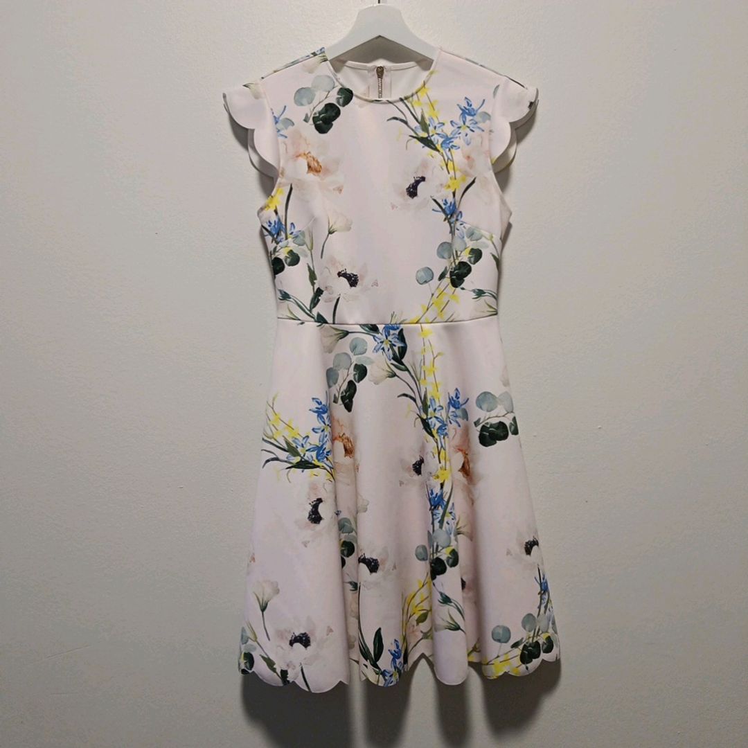 Ted Baker juhlamekko Tise