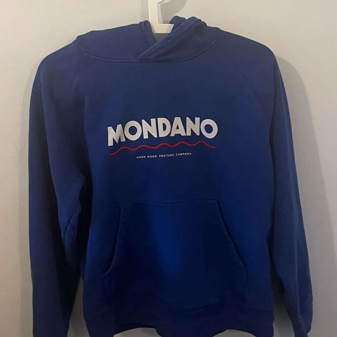 Wood wood mondano hoodie sale